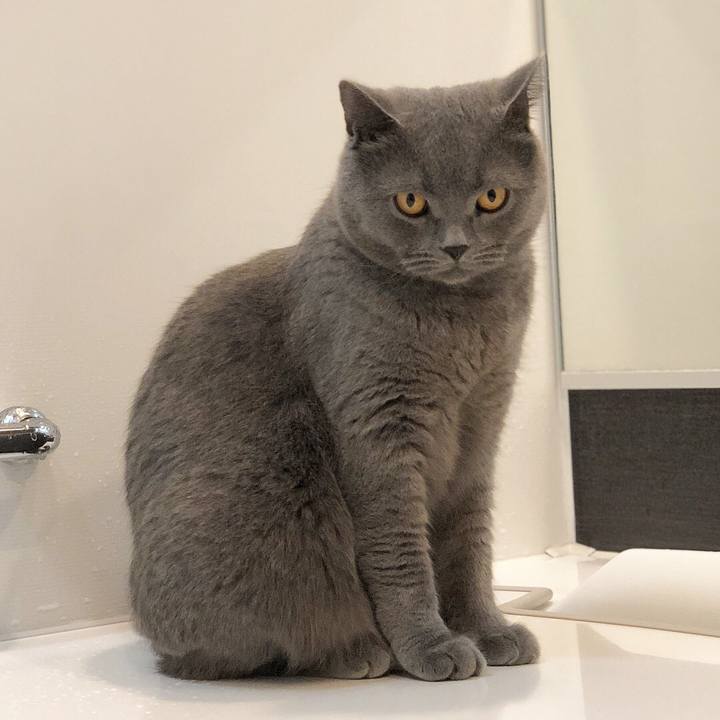 4f9fab62 7388 42e7 bc35 5ebacd0d7264 1512531862216