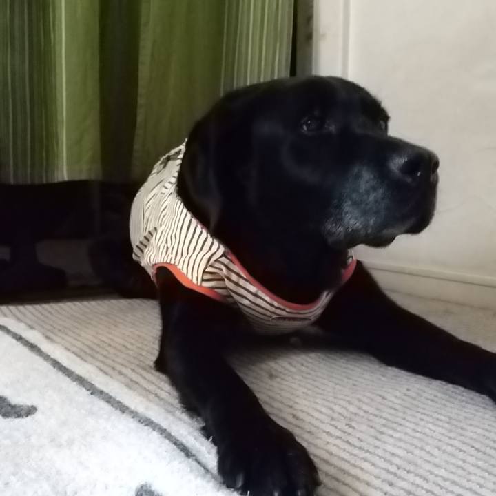 4f9fc27e 5b8b 4da6 834f c6c7a13e449f 1694311297754