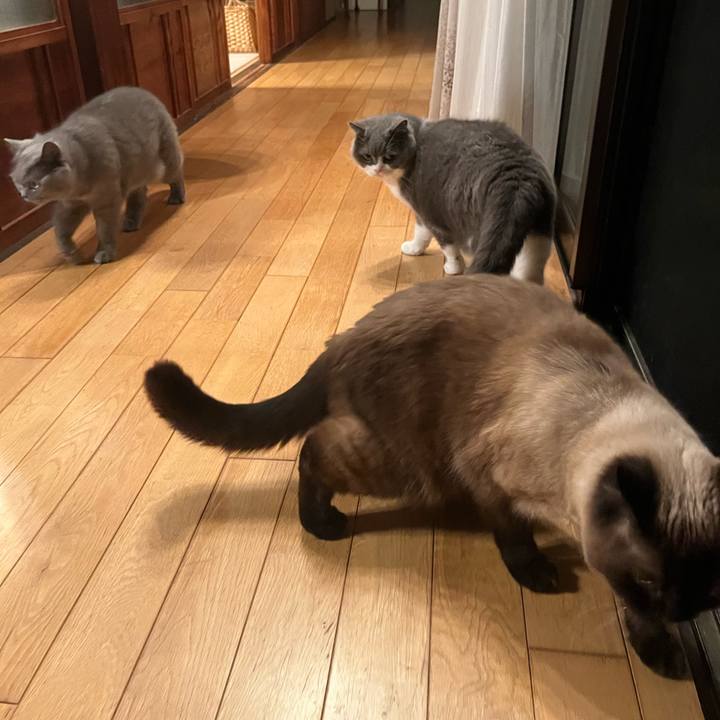 4f9fc42e 4af5 4174 ab70 d56e3c5591c4 1686311928373