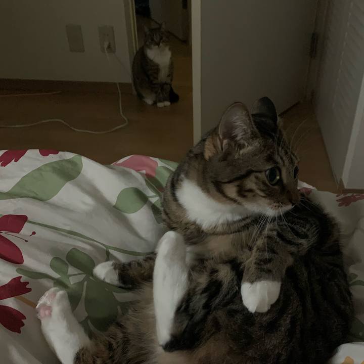 4f9fd748 b952 4771 9162 72f64571109c 1544405013598