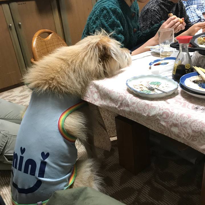 4f9ff7a6 768a 485b 9cfd 87cedfc8d9b3 1543750562981