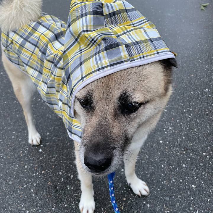 4f9fffa9 a932 4b66 97f6 39880a66c41f 1719837029585