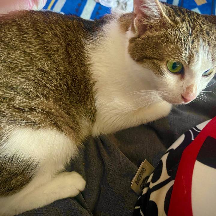 4fa0131c 794d 4210 96c9 09aa90b63747 1626472926886