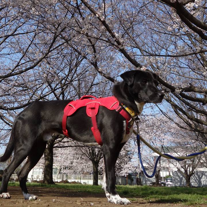 4fa01b47 eda0 46f1 b75a 1d95758ba880 1585185916869