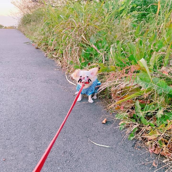 4fa023ff a7d0 41eb bcf0 17fc9caa4c21 1636006691070