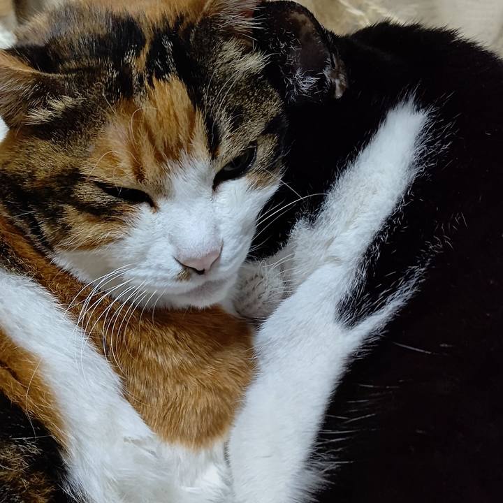 4fa03d90 7f3c 4cd8 a426 3e6d864eca27 1638595923573