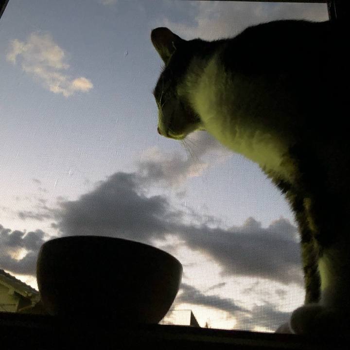 4fa048de 4a84 47f8 bead 8030cfa26950 1628626888678