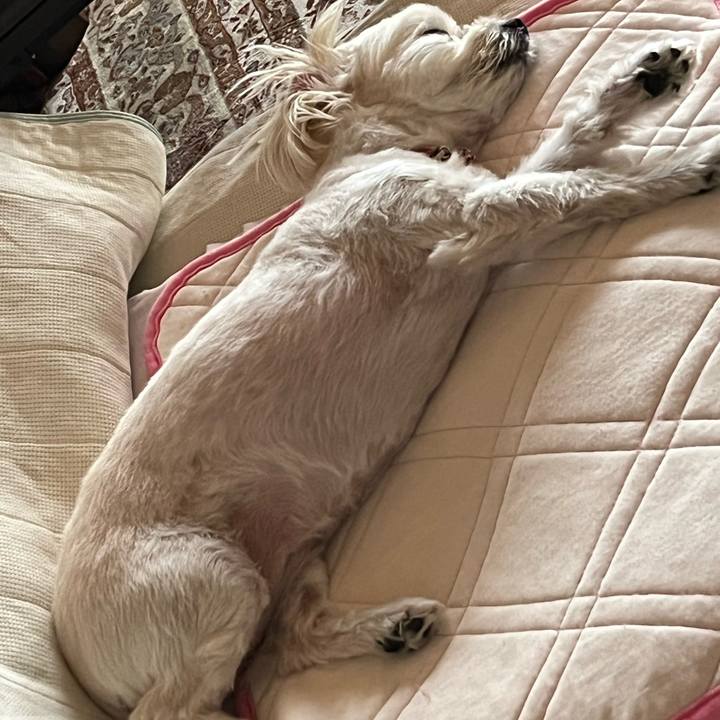 4fa053b2 b416 4233 b26f b9ad9f9c1956 1663220188273