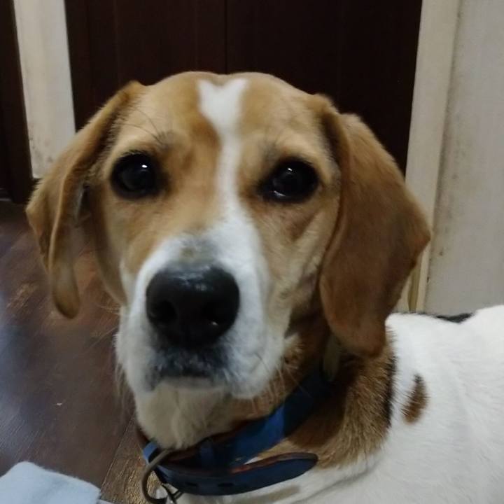 4fa06e84 a633 4904 935f 36f62fb88054 1613647921934