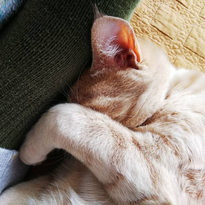 4fa07659 1120 4f18 a11e b4369b8b2afc 1552784987382