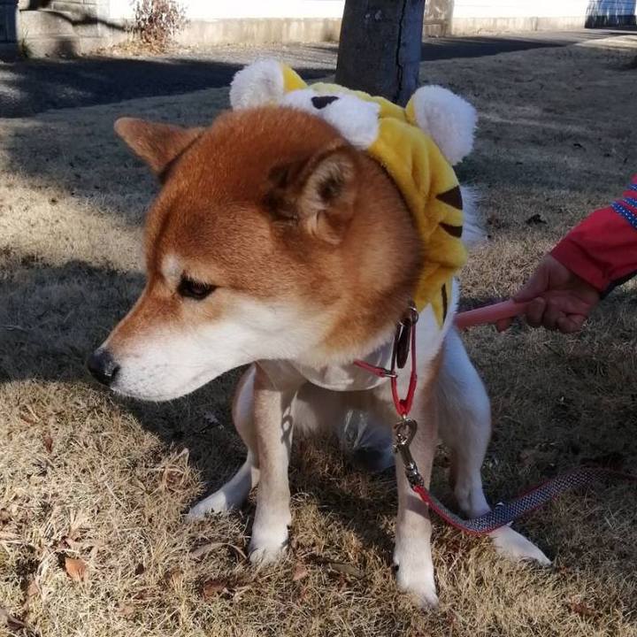 4fa07a23 cbbe 40fa bf1a a11f9d0e6033 1641194175606