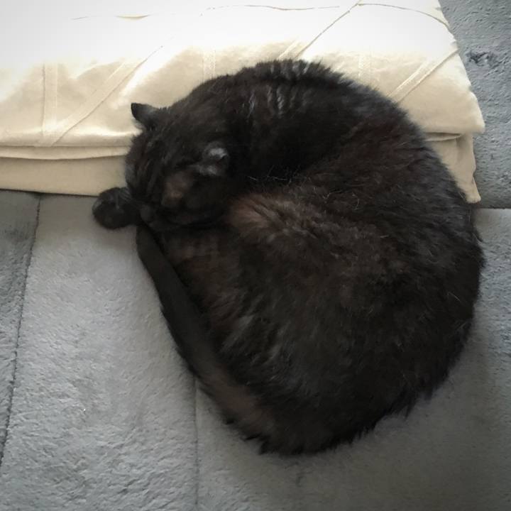 4fa18aad 210f 4328 8367 c75899b87757 1559891242859