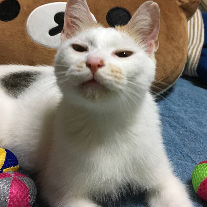 4fa1bcac fd76 4969 8b02 5e34e5b6d797 1538837213138