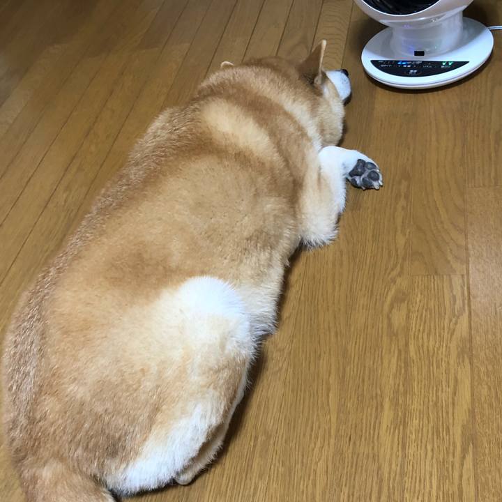 4fa1d824 8323 41b8 85d3 c3be3f124309 1592354844779