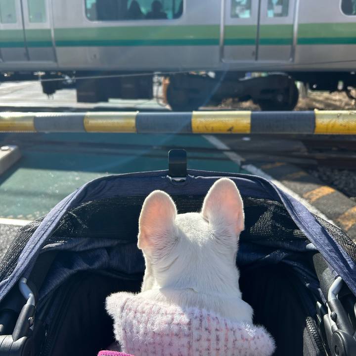 4fa1f07b da33 4bb6 8e92 e2e15dd05ec3 1734851806387