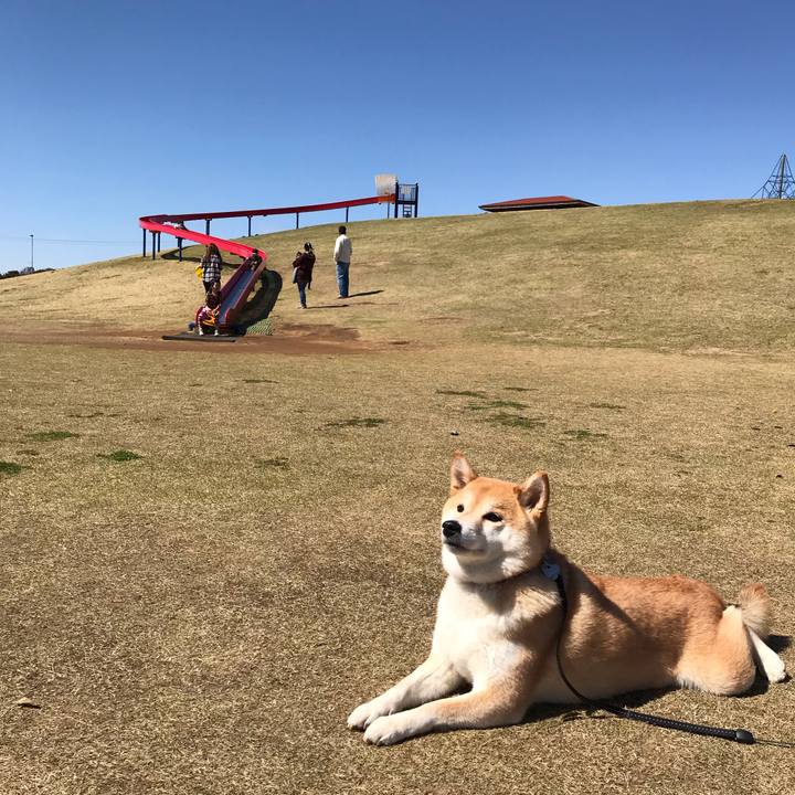 4fa204c5 2f3e 4320 9917 68266fb4946b 1553416080324