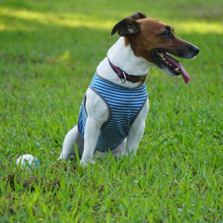 4fa2367d 842a 4ca8 9afb dcc74f921fb2 1533944308834