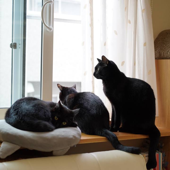 4fa25e4f 69e3 421e b22f 8cc911959155 1571882427651