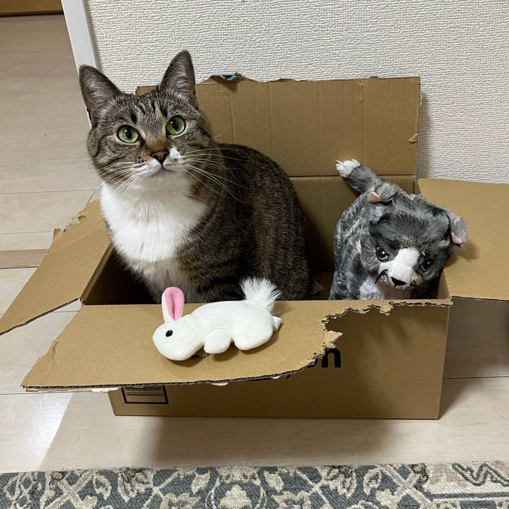 4fa26603 f553 4d29 9696 a7b7380c184c 1681864435145