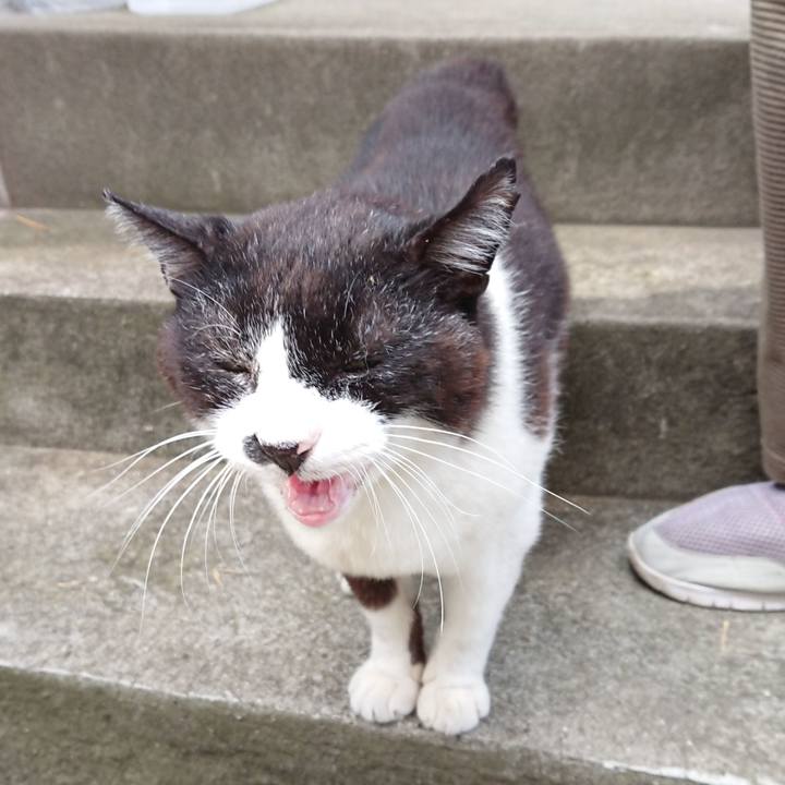 4fa281a6 f273 4e9b 9f6a d9314433c1c5 1690461500117