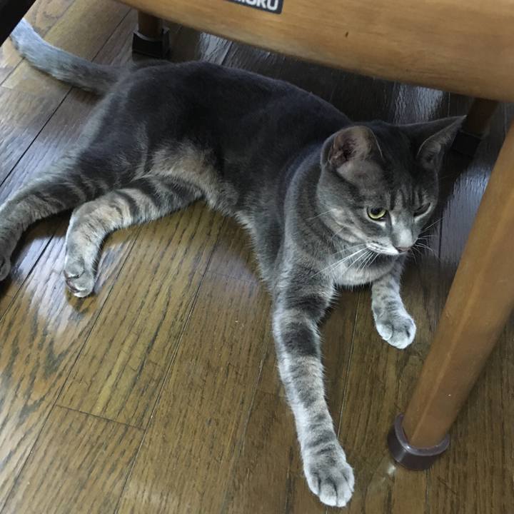 4fa293cb 771f 4eba 8b15 034cda31488f 1597148057016