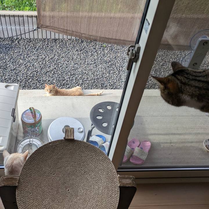 4fa2963f b4b7 4588 b252 53df8566287d 1688862606046