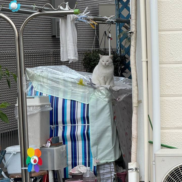 4fa2b281 9736 4199 adb9 ef46b4972afb 1763859872191