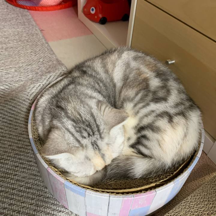 4fa2b970 3cd3 446d bbe5 6c26543463db 1708818965553