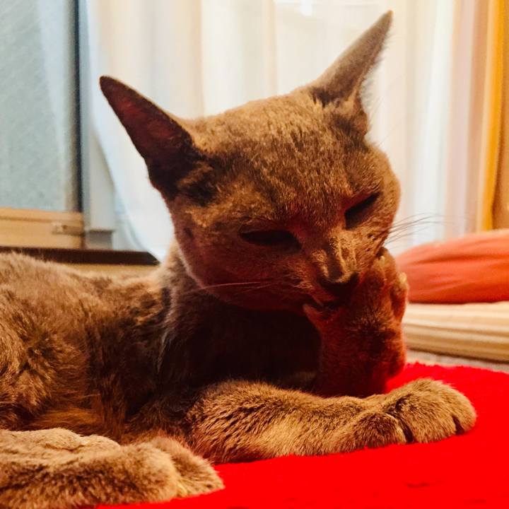 4fa2eba4 2e88 4277 9e59 0909a83ba1b0 1561888408679