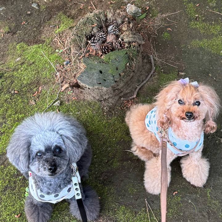 4fa2f8f3 c214 4180 b93b 7fb208bda0fe 1747351408834