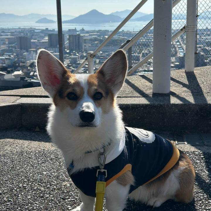 4fa2fe2c ccbc 4fca 818b 013b3aa9ef96 1767749882716