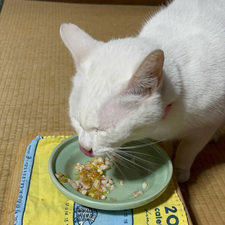 4fa32487 30bd 4b6c a87a 4fce3f6f7df6 1763464581692