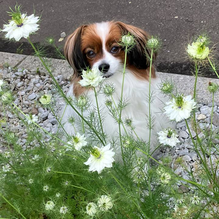 4fa32676 ff09 4021 b0b3 662922713a71 1750122335734