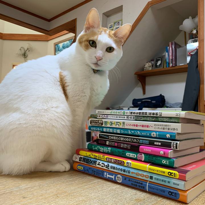 4fa334fc ddf6 4c34 b57b 35e930310636 1574029066589