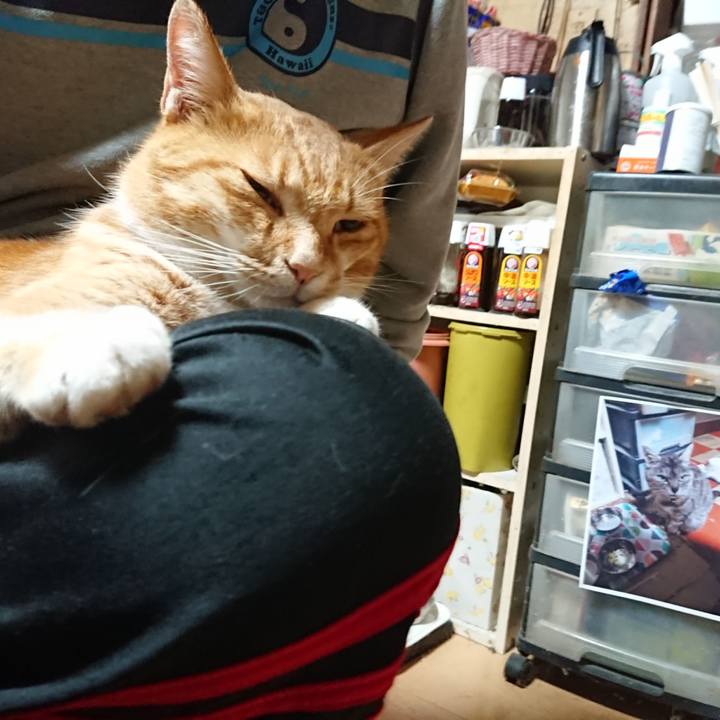 4fa34888 5abb 4f81 99e3 43f713325d2f 1601761306227