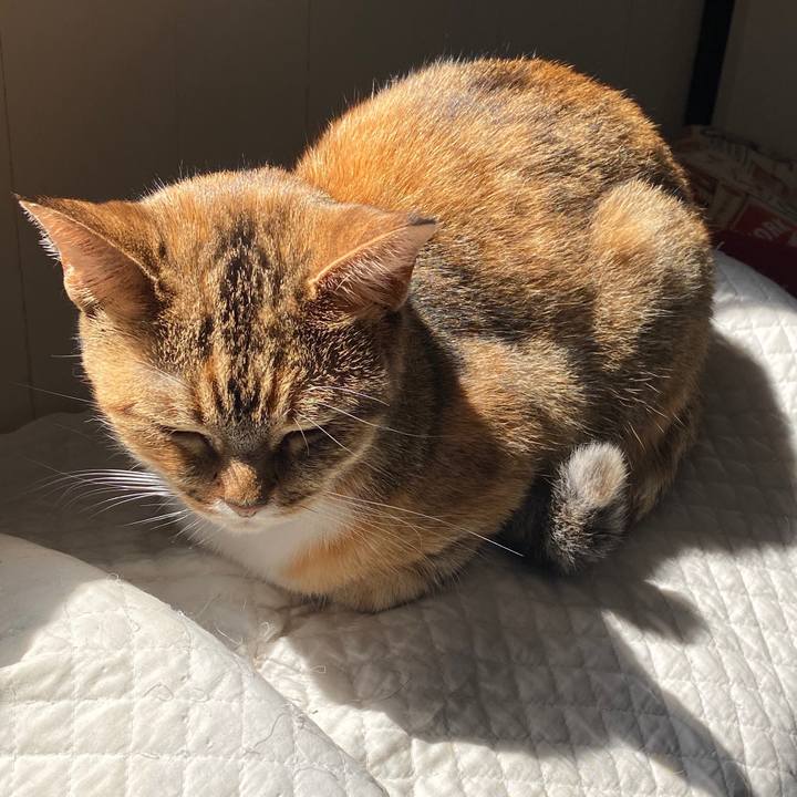 4fa355e8 dcdc 458a 80bc 15c66ba228eb 1586539859800