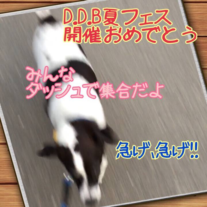 4fa364fa 6da5 44d0 a0ea 1e941f5ac426 1565475486019
