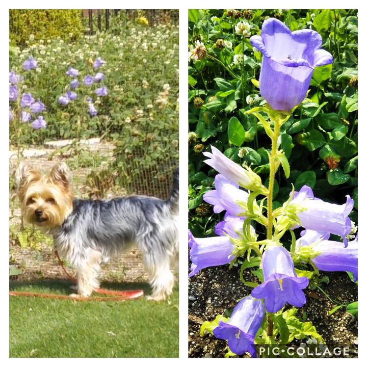 4fa37827 66e8 4e34 8ff8 aa5644f5c030 1591152345095