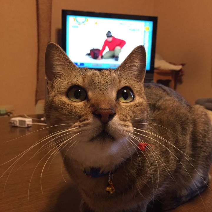 4fa3a2ad b1fd 43cd 9455 eaf0da687b09 1549576501663