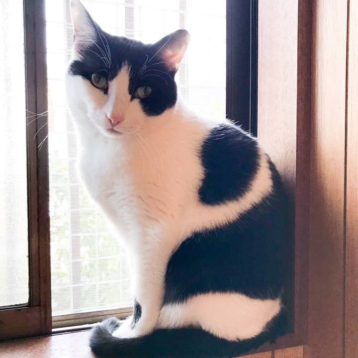 4fa3ca7c 42b9 4161 81f5 46bbb328b65e 1520818908038