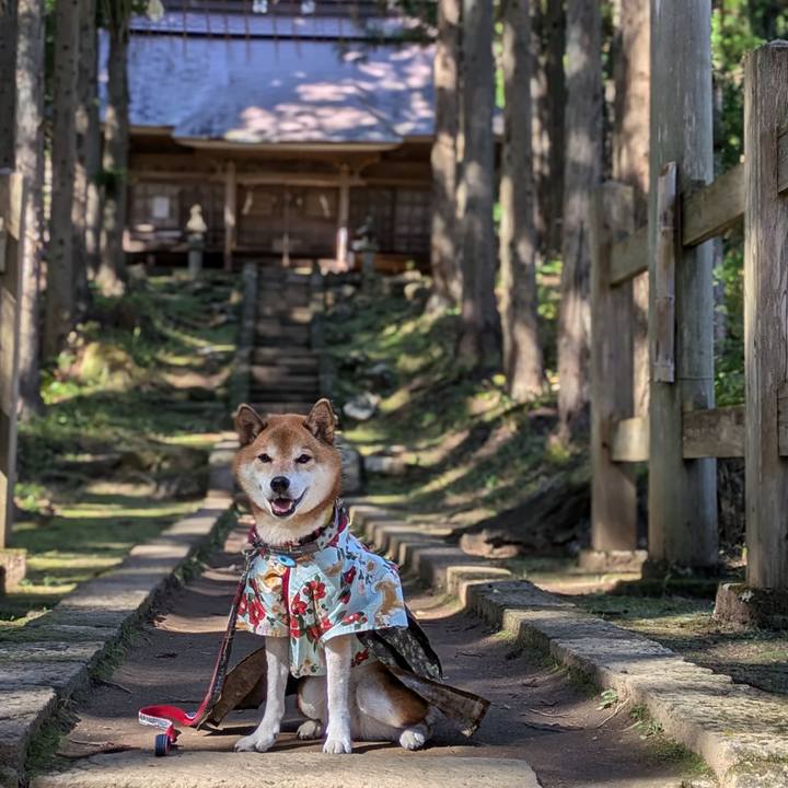 4fa3e4ae 04eb 4a1d 9a05 54ff20daddcc 1730460628632