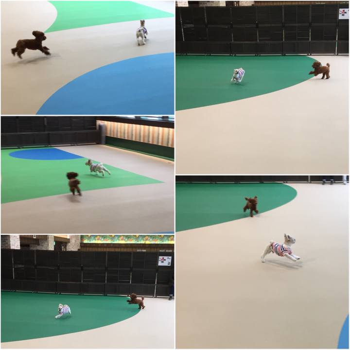 4fa3ea02 c0ac 47f1 ac79 e15bc8907db7 1517569048747