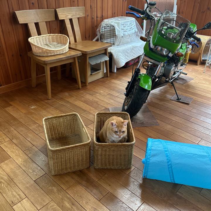 4fa41639 95af 4f88 80ae 00e22339be5b 1695082846827