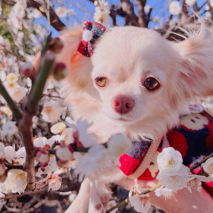 4fa427db 5089 4c39 9ab8 798bff474578 1677064342405