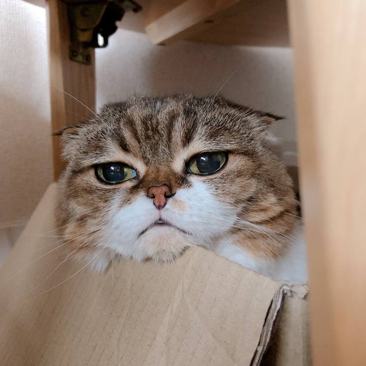 4fa4381f 3a92 45ab 9a12 53c8a981e416 1565754173825