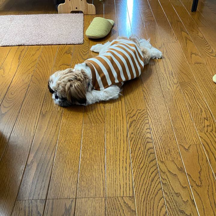 4fa44ec4 bb31 4447 8036 474c25c0fc00 1635416843711