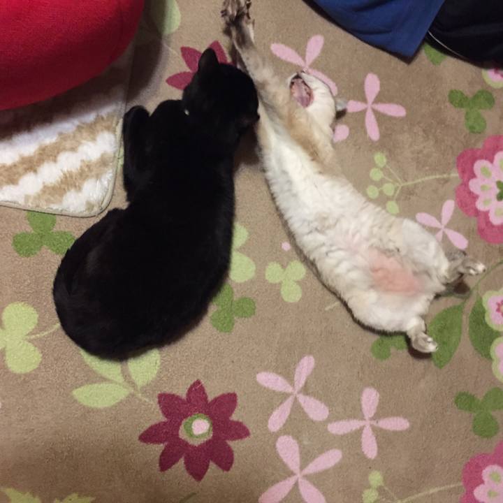 4fa45806 eb38 49d8 8b77 aa67c5dce985 1525868544767