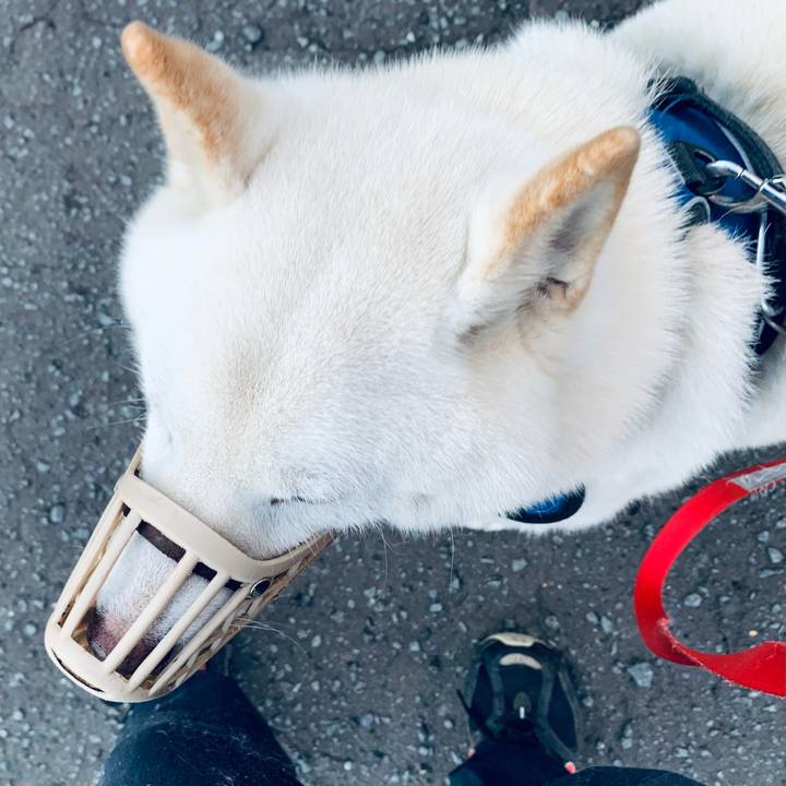 4fa46228 6019 42ae b73a b43cf0925134 1631830038735