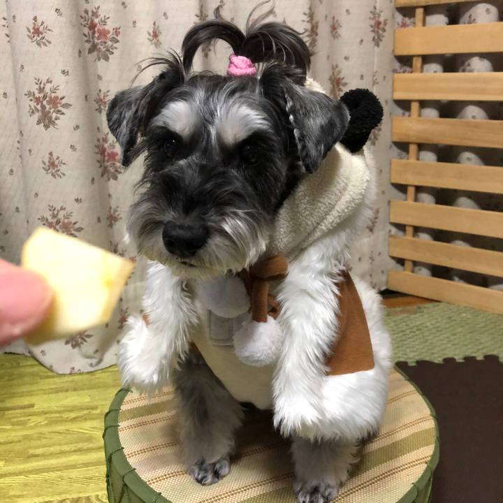 4fa46679 7406 46bd 92f8 402add0dba2c 1703424455413