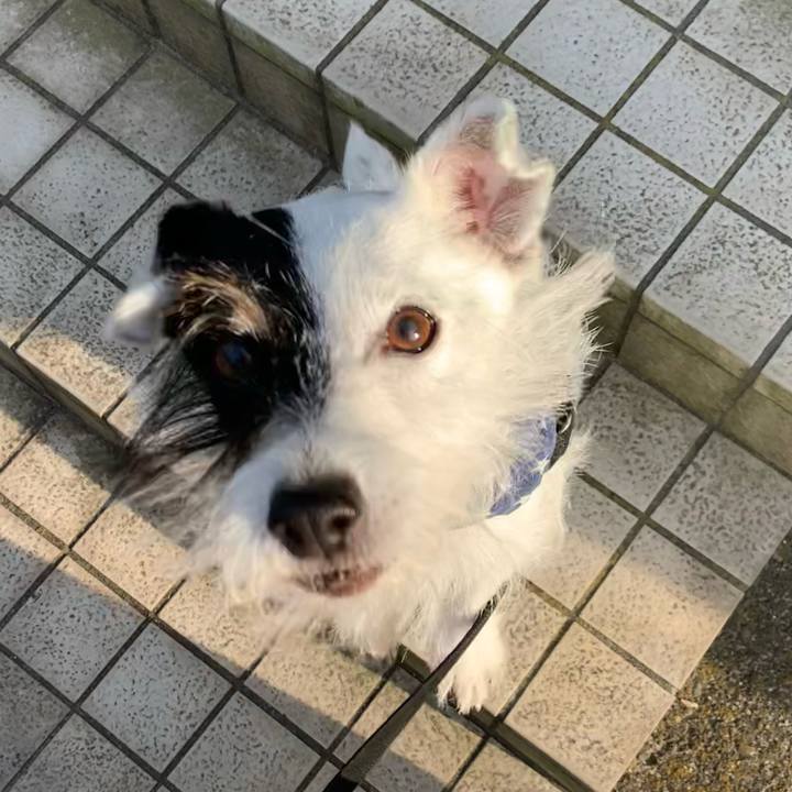 4fa4698e e8b2 445d b061 7ac62f1011c2 1659343332501